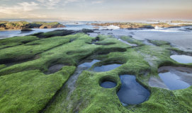 Seascape photography - rock poolsWilderness