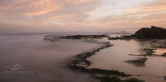 sunset along wilderness beach