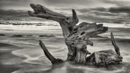 Black and white seascape photography